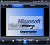 Microsoft Windows of Opportunity